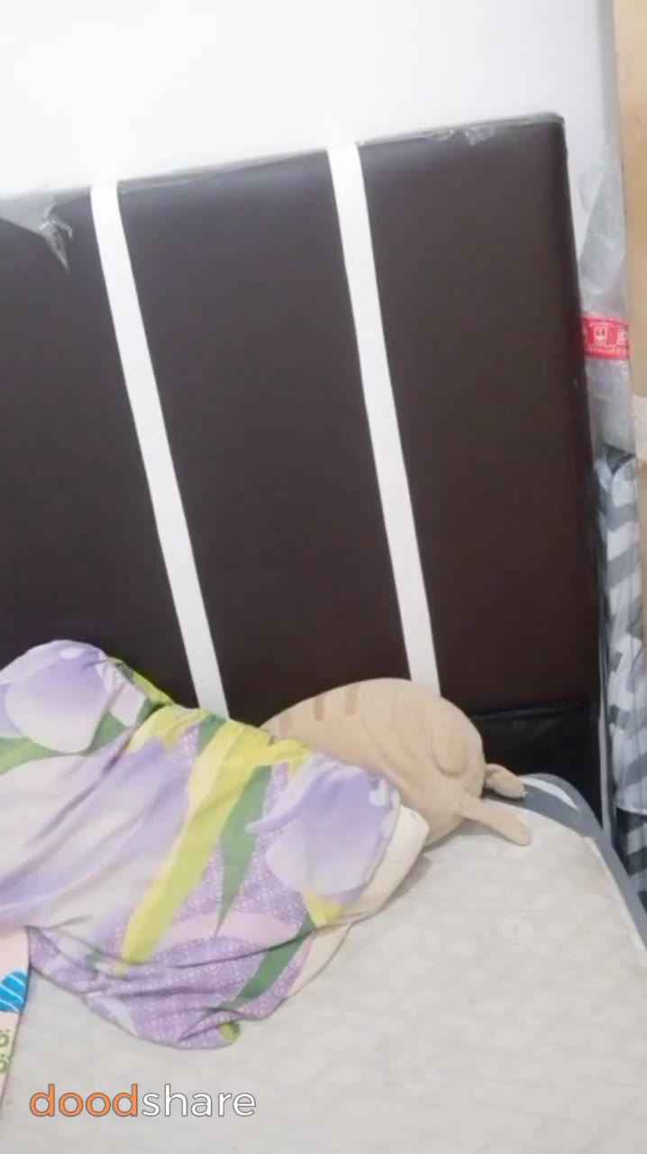 Ngentot Di Kamar Pake Daster Anjing! Sampai Basah Kuyup!